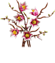 LEGO_Botanicals_-_11510_-_les_branches_de_magnolia_2.png.webp