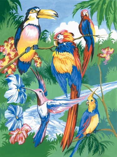 Peinture à numéro - Oiseaux Tropicaux