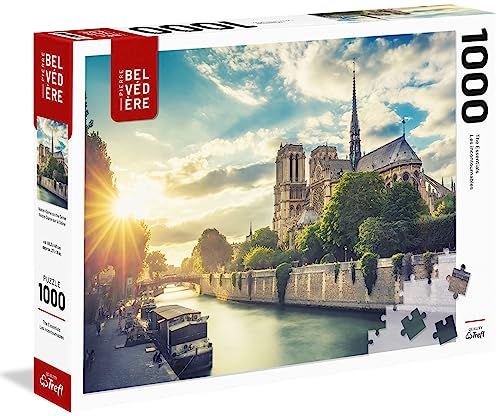 Notre-Dame sur la Seine - 1000 pcs