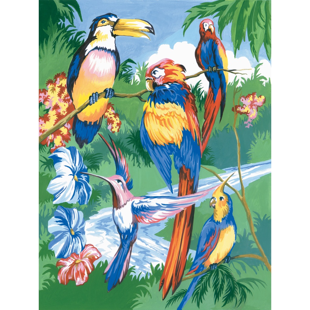Peinture à numéro - Oiseaux Tropicaux